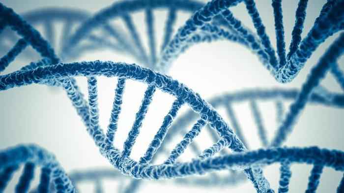 Какие гены передаются по наследству